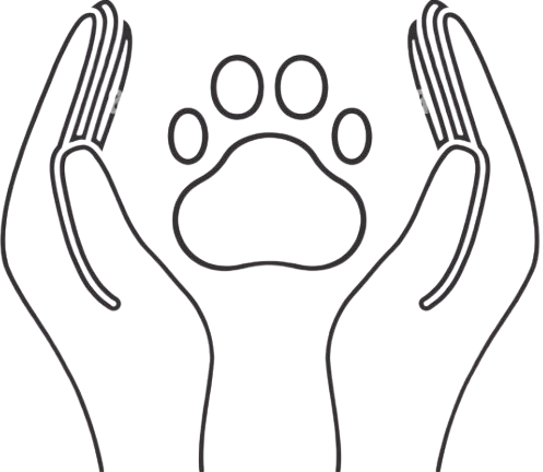 Animal Rescue and Rehabilitation Services