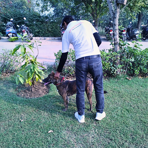 Animal Rescue and Rehabilitation Center